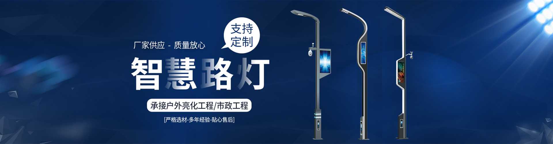 钢城区太阳能路灯定制厂家